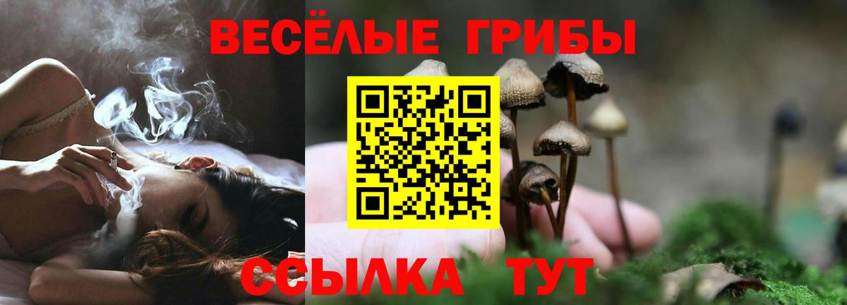 Татарск  Галлюциногенные грибы мицелий  Вход с VPN  Галлюциногенные грибы мицелий 
